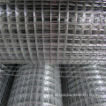 Galvanized Steel Welded Wire Mesh for Chicken Cages